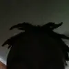 demands spam - @curtisfloyd69 - TikTok