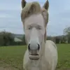 curtisfortnite - @curtisfortnite - TikTok