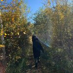 Curtis Gamble - @emptygoatdemon - Instagram