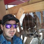 curtis goll - @gollcurtis - Instagram