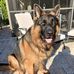 Curtis Goll - Facebook