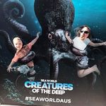 Curtis Goodman - @cgoody08 - Instagram