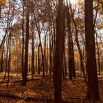 Curtis Hanson - @curtishansonphotography - Instagram