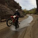 Curtis Harkrader - @curtisharkrader - Instagram