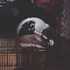 kurtis Harper  - @kurtis800 - TikTok