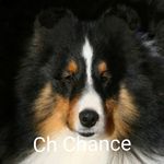 Curtis Harmon - @curtis.harmon.714 - Instagram