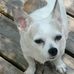 Curtis Harrison - Facebook