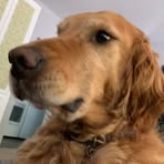 Curtis Heard - Facebook