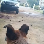 Curtis Heard - Facebook