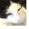 Hayden Hebert - @curtis.hebert - TikTok