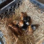 Kevin Curtis Hebert - @kchebertjr - Instagram