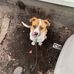 Curtis Helms - Facebook