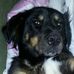 Curtis Helms - Facebook