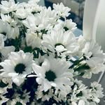 Curtis Herbert - @curtisherbert15 - Instagram