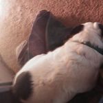 Curtis Herring - @curtis.herring.522 - Instagram