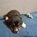 Curtiss Joiner - Facebook