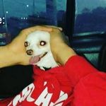 curtis keel - @keel_curtis - Instagram