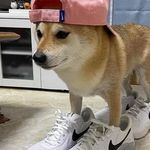 Curtis Kěěł - @yurtiscuh - Instagram
