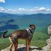 Curtis Labelle - Facebook