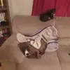 Curtis Lynn - @curtis.lynn1 - TikTok