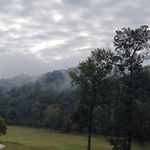 Curtis Lynn Craig - @_curtis_lynn_craig_ - Instagram