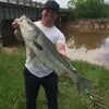 Curtis MacDougall668 - @curtismacdougall_ - TikTok
