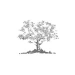 Curtis Manning - @curtismanningdesign - Instagram