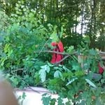 Matthew Curtis - @matthew.curtis.9210 - Instagram