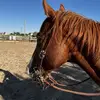 curtismay09 - @curtismay09 - TikTok