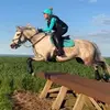 Steph Curtis mayes - @stephcurtismayes - TikTok