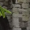 Curtis Mcgowan - @curtis.mcgowan - TikTok
