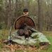 Curtis Mobley - Facebook