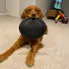 curtis.mueller - @curtis.mueller - TikTok