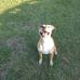 Curtis Peck - Facebook