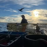 Curtis Pedersen - @dorsalfantastic - Instagram
