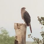 Curtis Peters - @curtis.peters.560 - Instagram