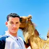 فارس مطروح🇱🇾🇪🇬✌️ - @curtisplease - TikTok