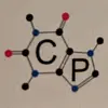 Curtis.press - @curtis.press - TikTok