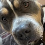 Curtis Porter - @ketchup_packet34 - Instagram