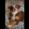 portercurtis - @portercurtis - TikTok