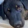 pray for curtis - @pray.for.curtis - TikTok