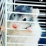Curtis Prevost - @prevostcurtis - Instagram