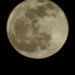 Curtis Proffitt - @space_boundedibles - Instagram