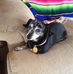 Curtis Pyle - Facebook