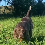 Curtis Ramey - Facebook
