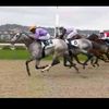 Curtis Ramsden97 - @curtisramsden2 - TikTok