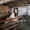 Curtis Randecker - @curtis.randecker - TikTok