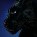 Curtis Read - @ct_read - Instagram