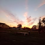 Curtis Red - @kingcj.pgn - Instagram