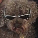 Curtis Rogers-Riddell - @nice_slacks - Instagram